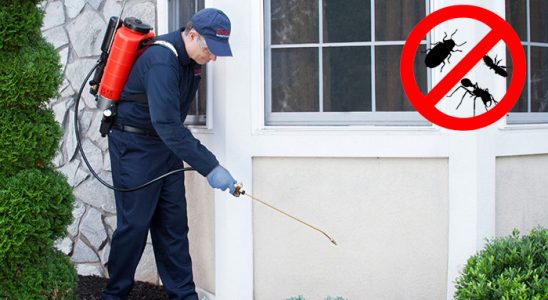Boyabat Gümüşkurt İlaçlama böcek ilaçlama ve haşere kontrolü — ilaclama-tr.com